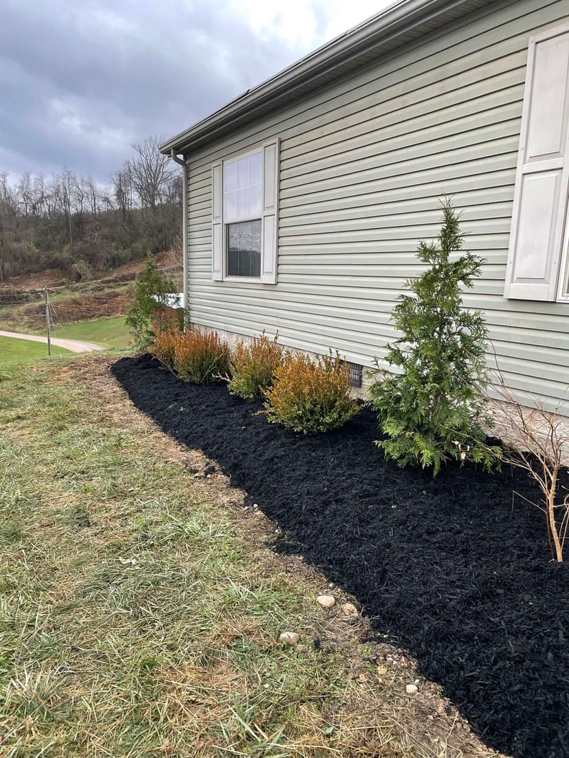 11 Years of Landscaping Excellence's image